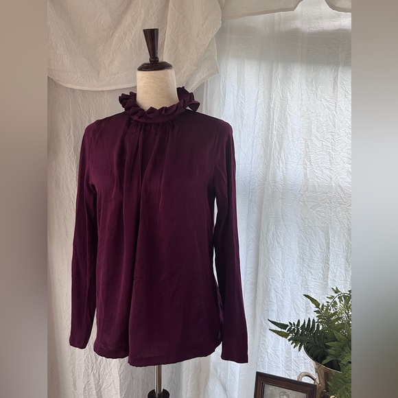 Banana Republic Tudor Inspired Oxblood Ruffle Neck Blouse - Picture 4 of 8